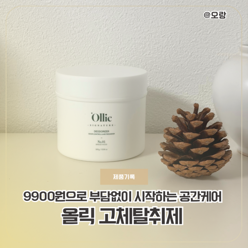9900원으로 부담 없는 고체탈취제 추천 올릭 고체탈취제 브리즈우드향