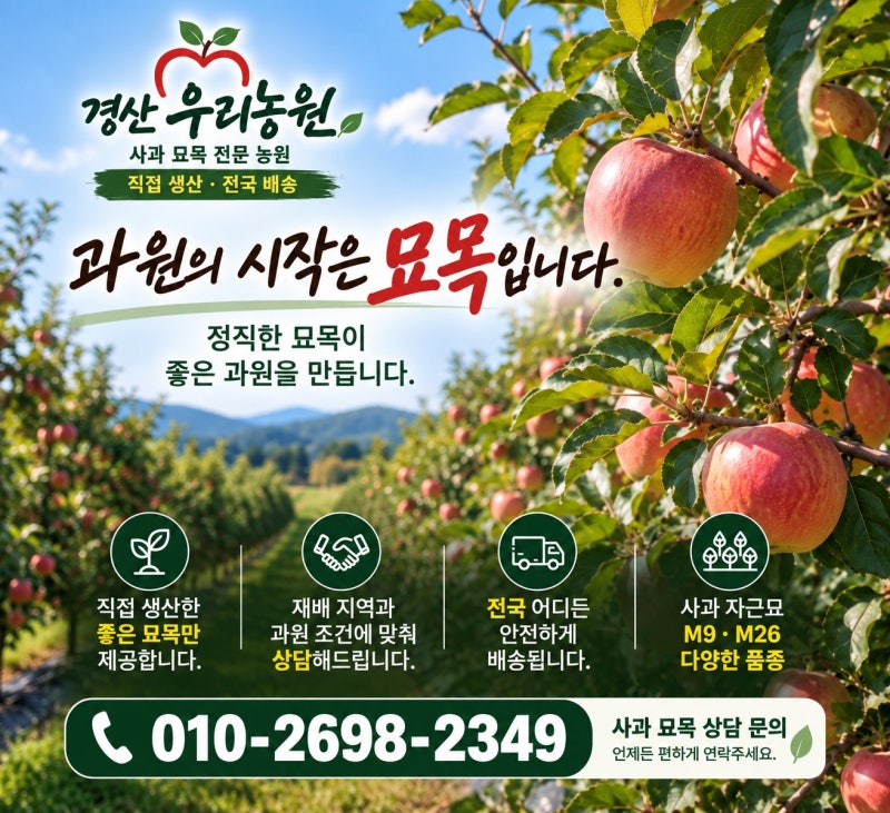 사과밭 새로 만드신다면 묘목부터 준비하세요｜M9·M26 사과 묘목 판매