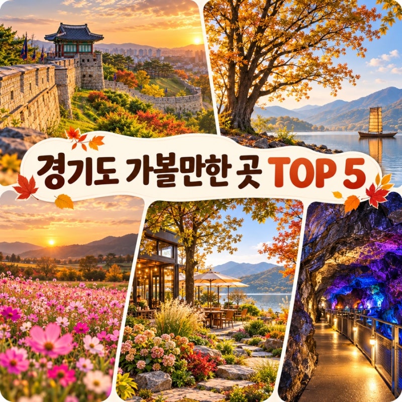 경기도 가볼만한 곳 5곳 추천｜안성팜랜드부터 양평 정원 카페까지