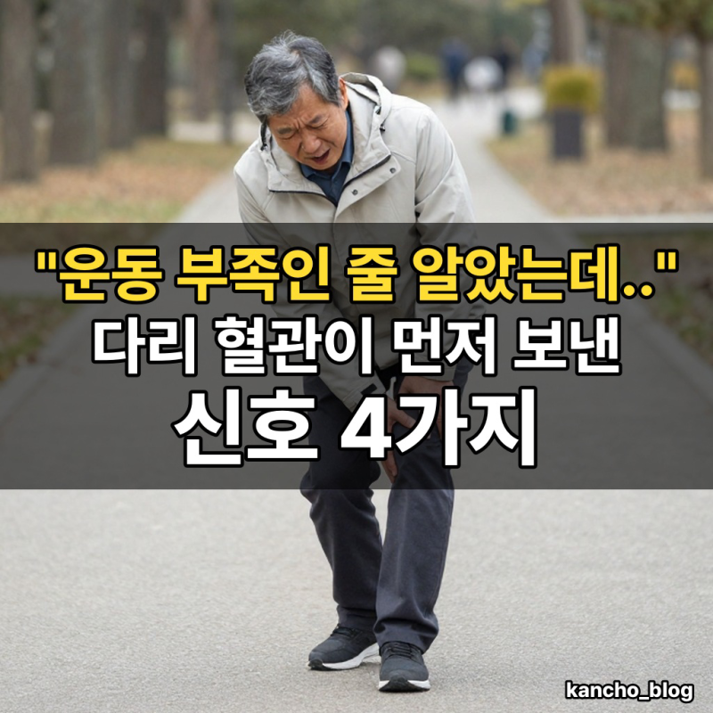 "운동 부족인 줄 알았는데.." 다리 혈관이 먼저 보낸 신호 4가지｜하지동맥경화 증상