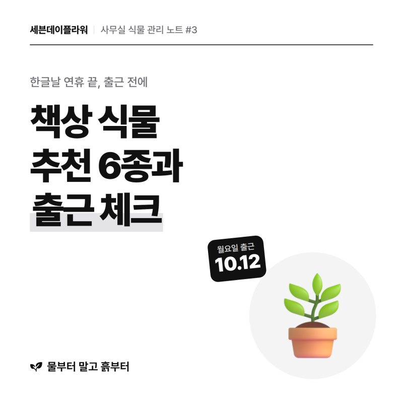 사무실 책상 식물 추천, 연휴 끝 출근 전 체크법