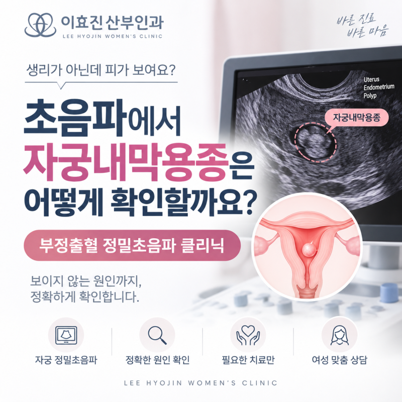 서초동 산부인과 초음파에서 자궁내막용종은 어떻게 확인할까요?