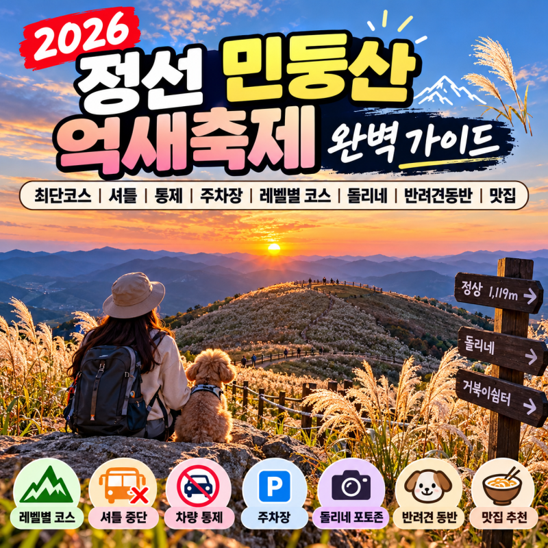 [강원도/정선] 2026 민둥산 억새축제 완벽 가이드 ㅣ 최단코스·셔틀·통제·주차장·레벨별 코....