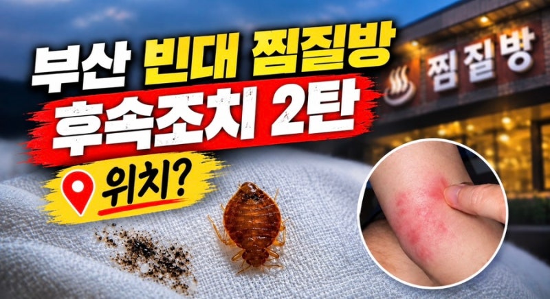 부산 빈대 찜질방 후속조치 2탄 (+위치,상호,퇴치법)