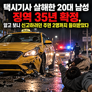 택시기사 살해한 20대 남성 징역 35년 확정, 알고 보니 신고하려던 주민 2명까지 들이받았다