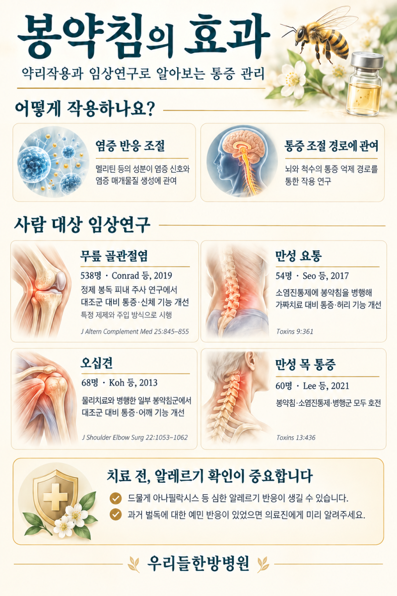 봉약침, 척추 관절 치료 및 통증 완화에 어떤 도움이 될까요? — 약리작용과 ....