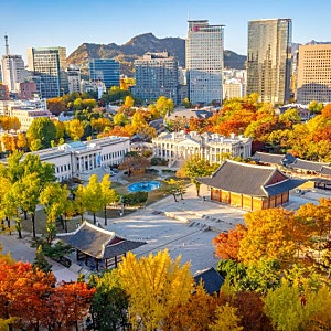 서울 세계 최고 대도시 1위, 궁궐 너머 빌딩과 밤거리의 매력