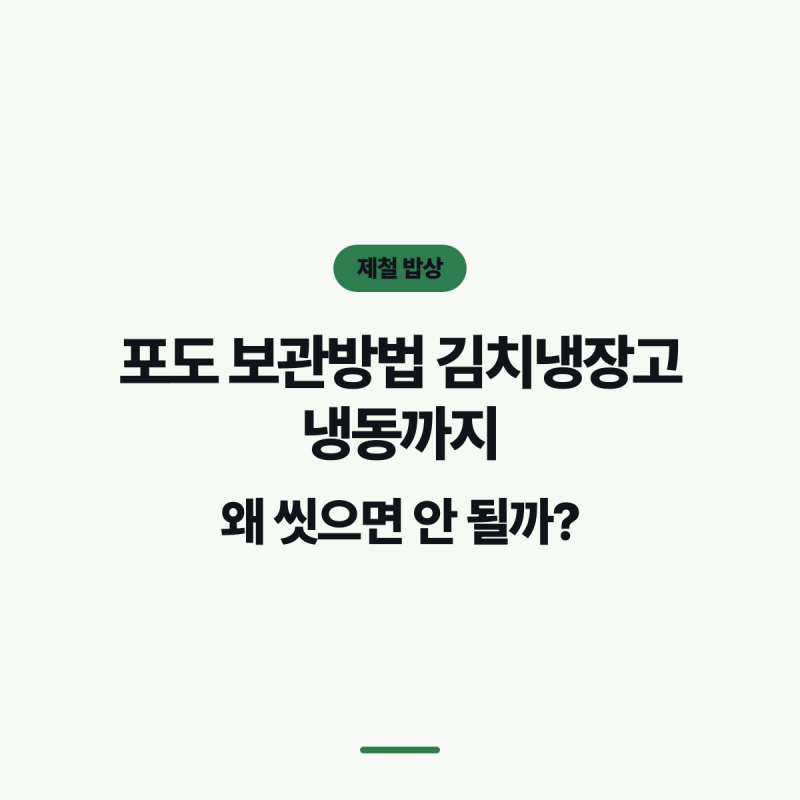 포도 보관방법 김치냉장고 냉동까지, 왜 씻으면 안 될까?