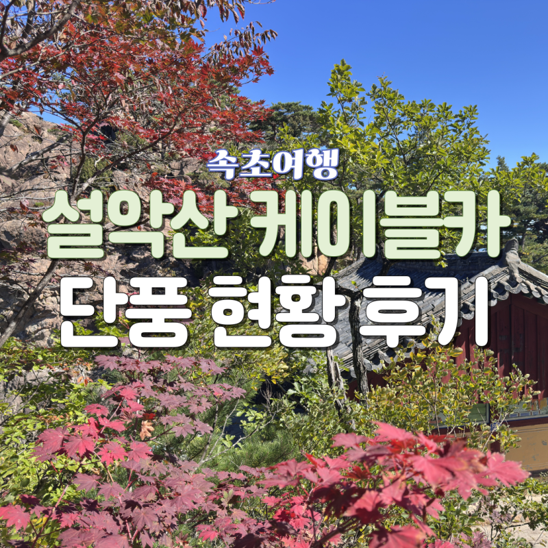 속초여행 가볼만한곳 설악산 케이블카 단풍현황 후기