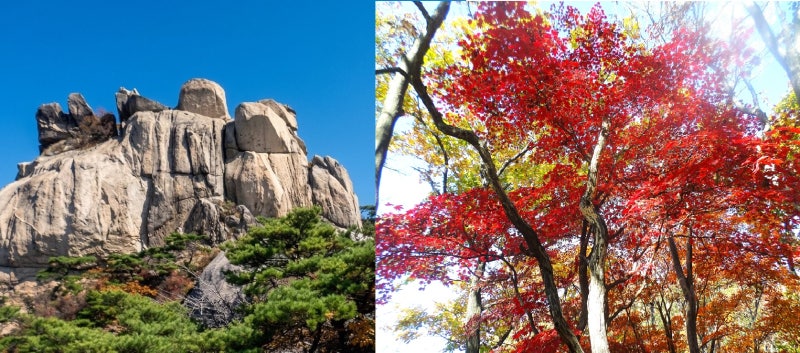 (서울) 북한산 공룡과 단풍의 앙상블 : 산성탐방센터 - 의상봉 - 용출봉 - 용혈봉 - 증취봉 - 나....