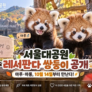 서울대공원 레서판다 쌍둥이 공개｜마루·마롱 10월 14일부터 만난다, 관람 시간은?