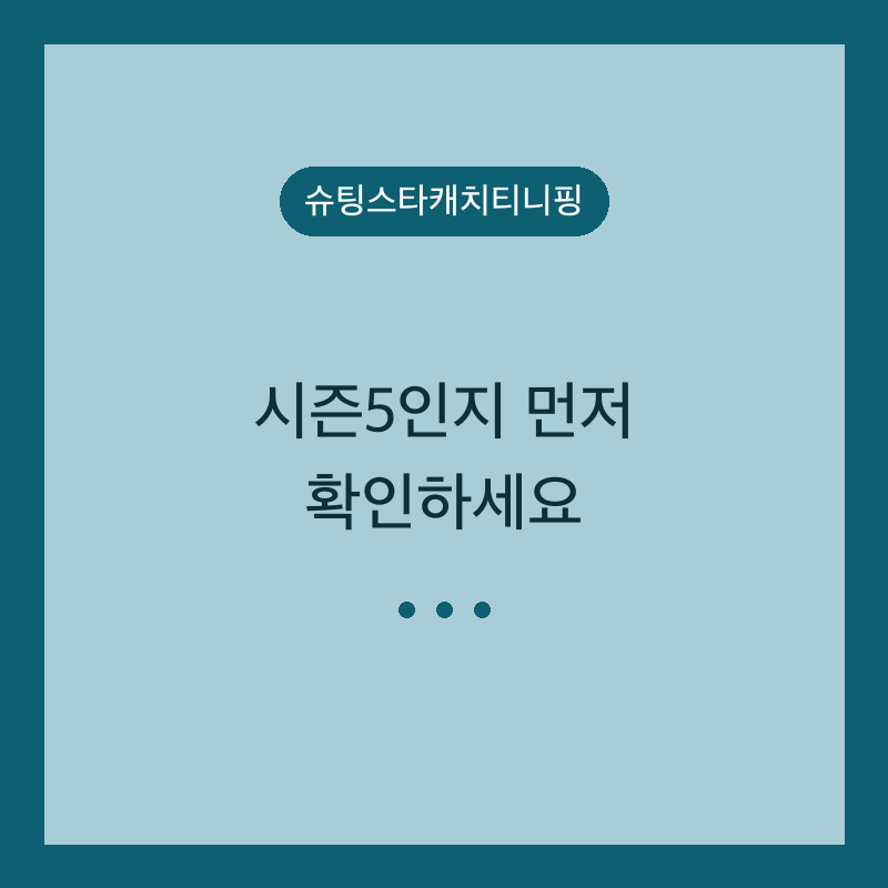 슈팅스타캐치티니핑 시즌5인지 먼저 확인하세요