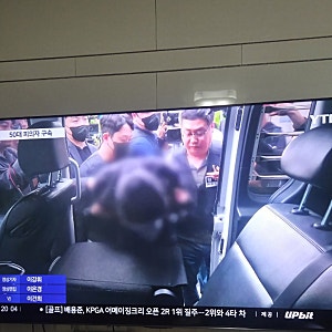 나주 부부 살해 50대 구속, 경찰이 계획범죄에 무게 두는 이유