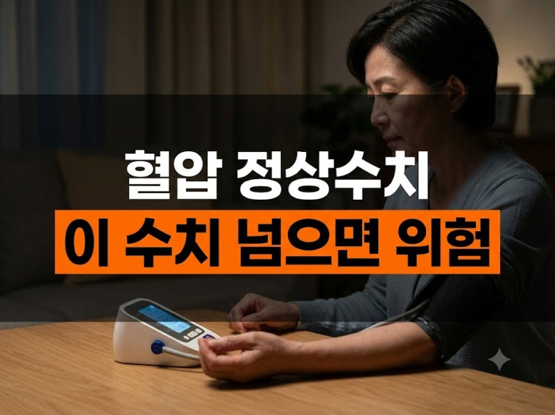 혈압 정상수치 기준과 범위 총정리: 고혈압 전단계부터 저혈압 관리법까지