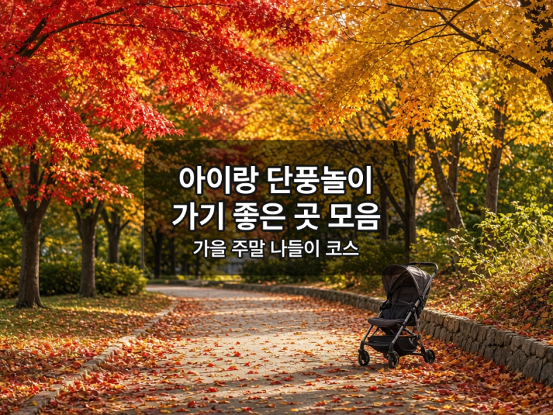아이랑 단풍놀이 가기 좋은 곳 10곳 서울·경기 가을 나들이 추천