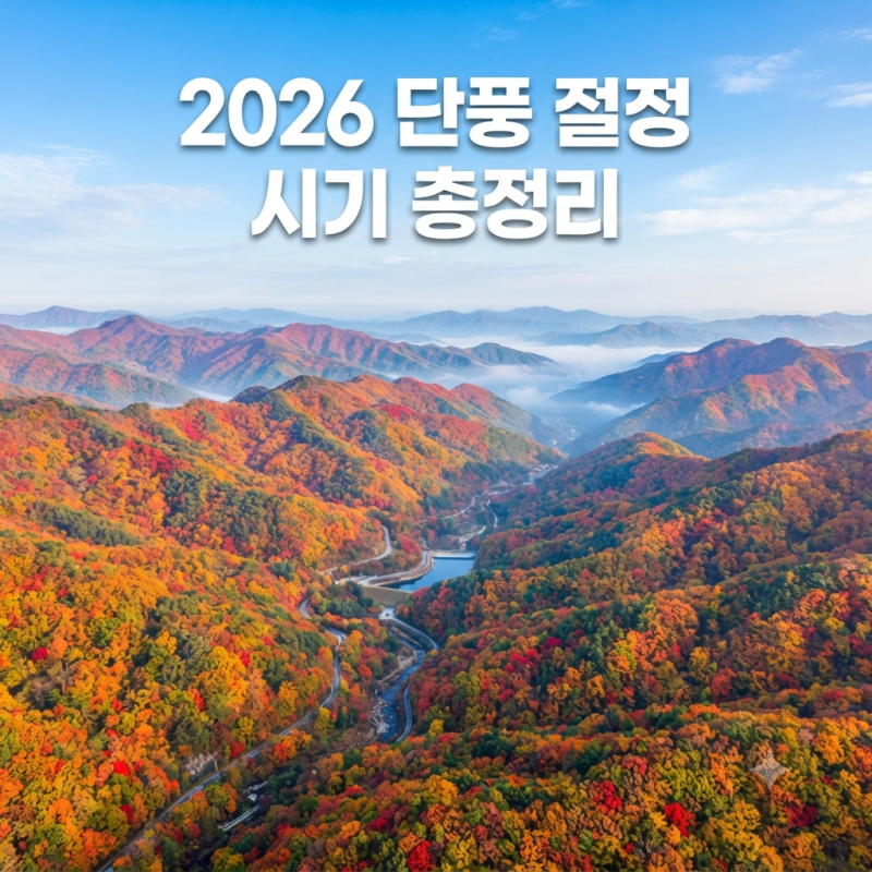 2026 단풍 시기 완벽 가이드 ! 설악산부터 내장산 대구수목원까지 올해 절정일 총정리