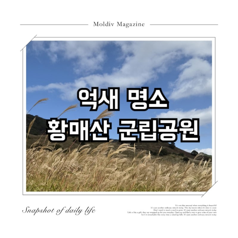 [장소 기록] 대구 근교 가을나들이 아이랑 10월 가볼만한곳 억새명소 황매산군립공원