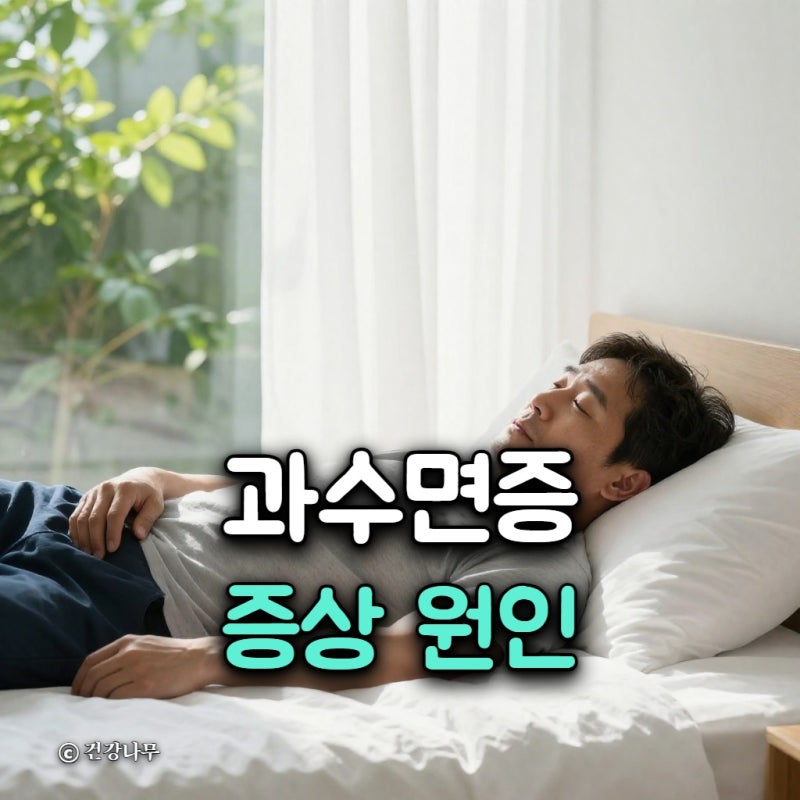 과수면증 증상 원인, 잠 많은 체질과 구별법