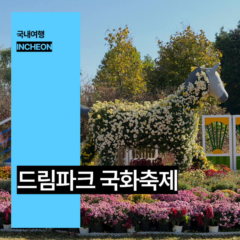 인천 가볼만한곳 드림파크 국화축제 서울 근교 가을 나들이 볼거리