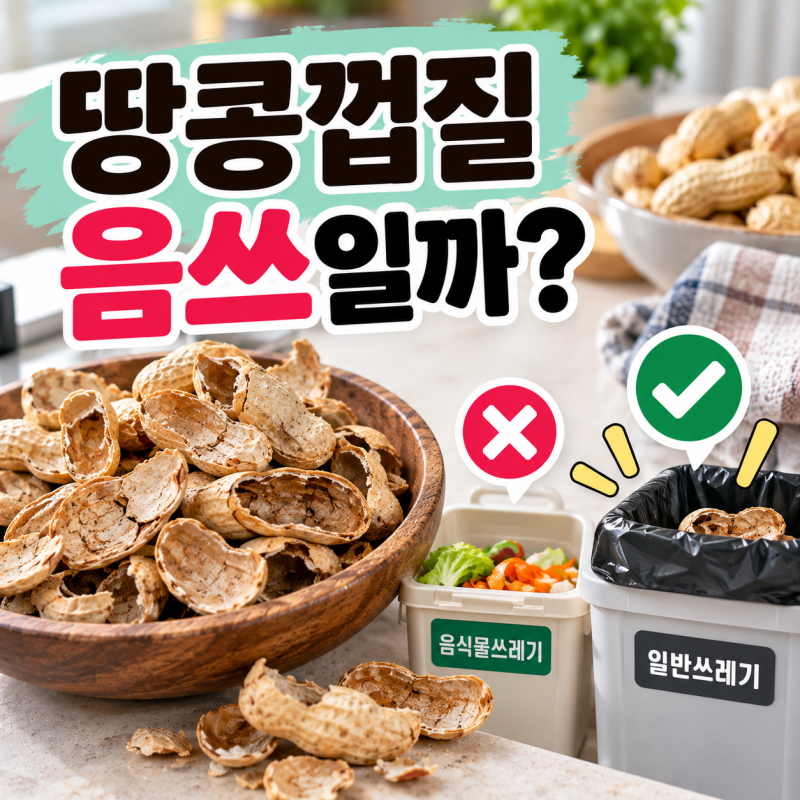 땅콩껍질 음쓰일까? 일반쓰레기 분리배출 방법 알아보기