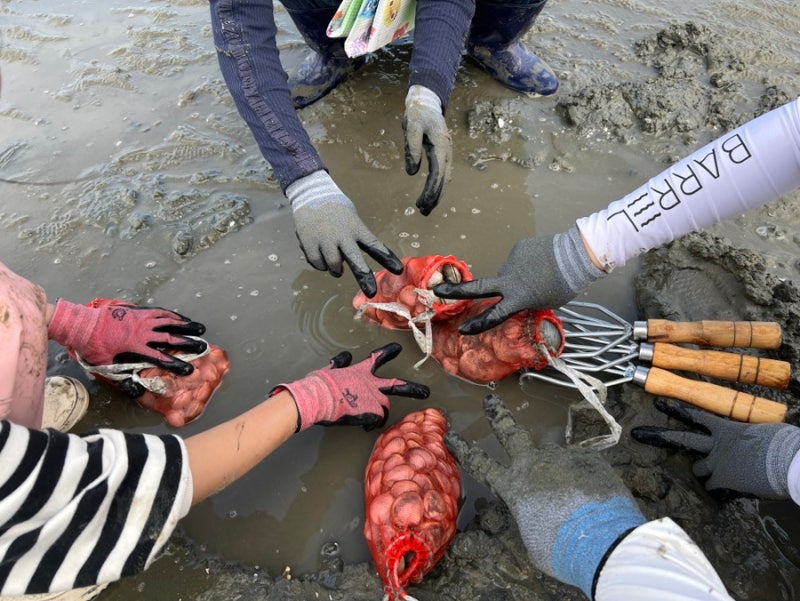 [영종도 갯벌체험] 아이들과 마시안 갯벌체험장 후기, 물때·주차·이용요금 및 꿀팁까지