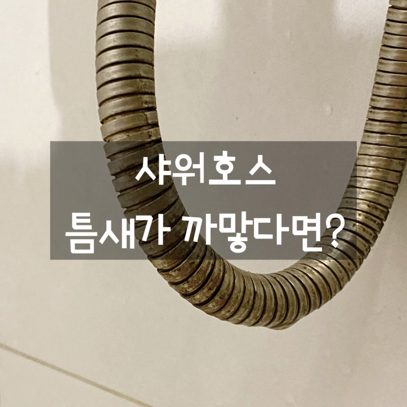 여기도 청소해야 해? 샤워호스 물때제거 곰팡이 청소법