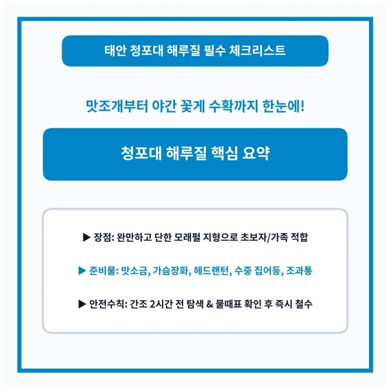 태안 청포대 해루질 맛조개 꽃게 포인트 후기
