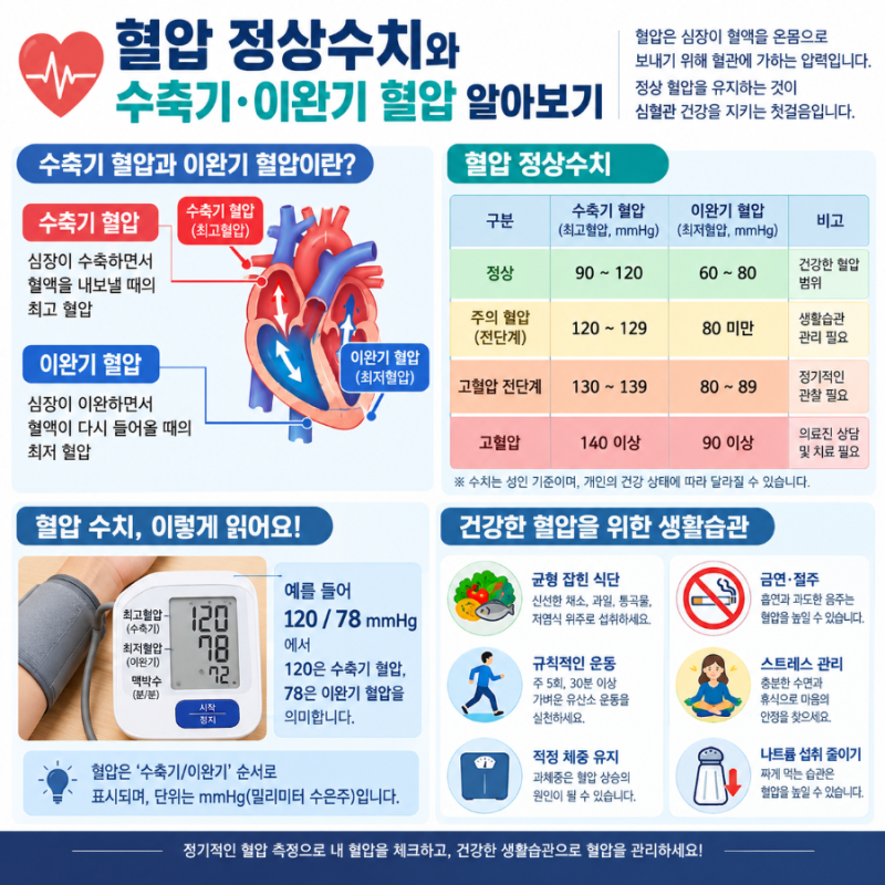 혈압 정상수치 총정리! 정상 혈압 범위부터 고혈압, 저혈압 기준, 나이별 관리법까지