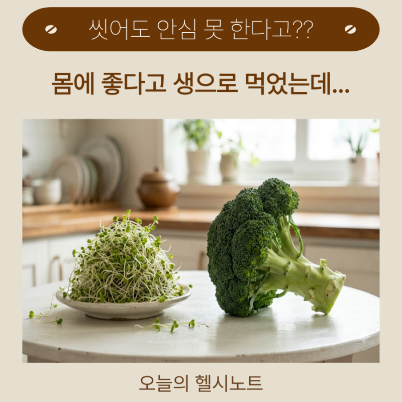 “글루코라파닌 최대 100배?”다 자란 브로콜리와 다른브로콜리 새싹의 성분과 주의사항