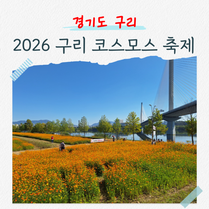 2026 구리 코스모스 축제 주차장 사전정산 개화현황 불꽃축제
