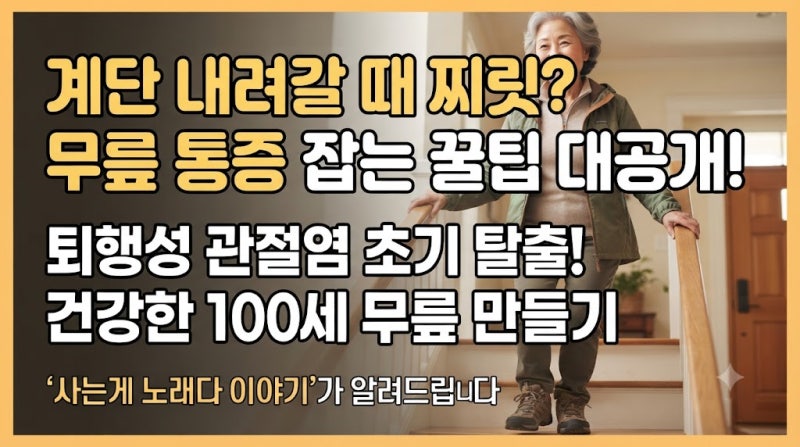 중년 무릎 통증 퇴행성 관절염 초기 증상 방치하면 큰코다치는 이유