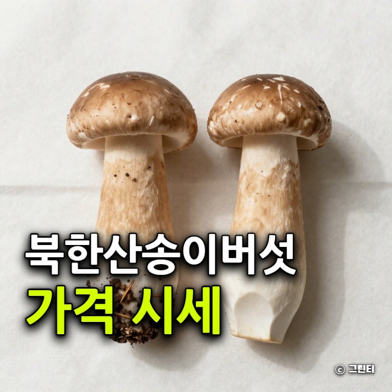 북한산 송이버섯 가격 시세, 국산과 구별법