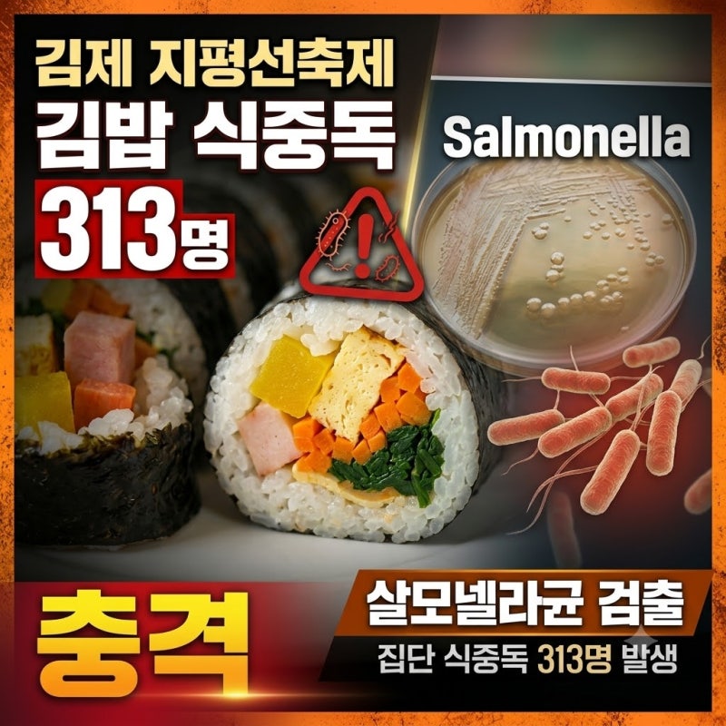 김제 지평선축제 김밥 식중독 313명 발생…살모넬라균 검출에 충격