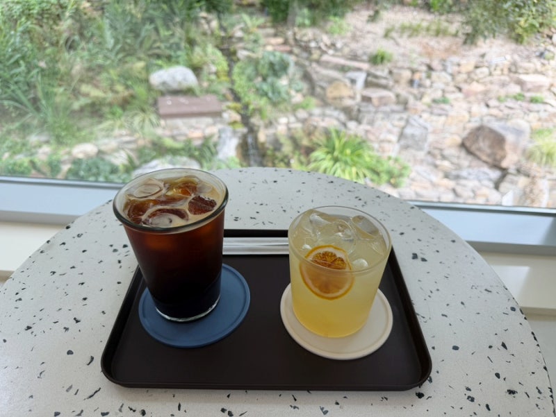전주 애견동반 카페 통창뷰 서서학동 카페 양화소록