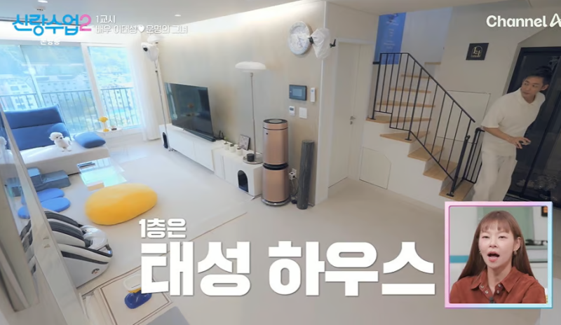 이태성 2500만원 그림 복층 하우스 “집 공개했는데 그림값이 더 놀랍다…”