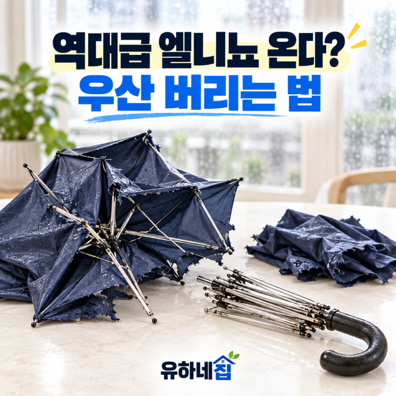 11월 많은 비 우산 버리는 법 알려줄게.