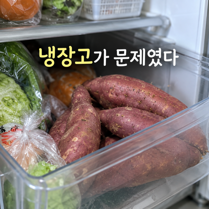 “이렇게 두면 상해요” 고구마 냉장보관 안 되는 이유와 보관법