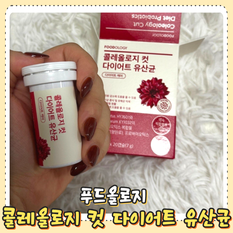 다이어트 유산균 콜레올로지컷 푸드올로지 추천 후기, 하루 2캡슐 루틴