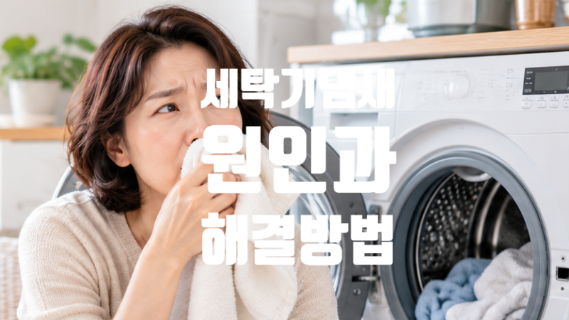 세탁기 냄새 원인 3가지와 해결법 | 통세척으로 될 일과 분해청소 부를 일