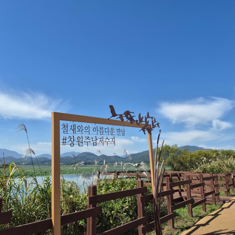 10월 경남 창원근교 가볼만한 곳 추천! 주남저수지 산책 & 주위 드라이브코스