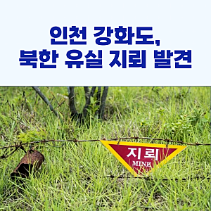 인천 강화도, 북한 유실 지뢰 발견!