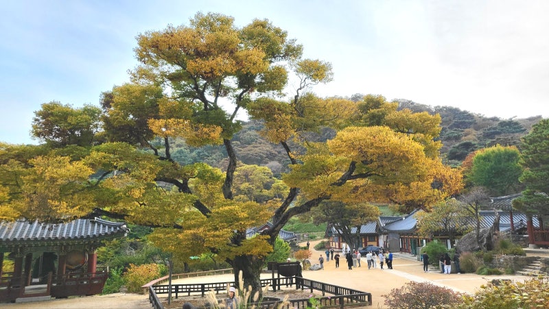 강화도 전등사 서울근교 절 데이트코스 가볼만한곳