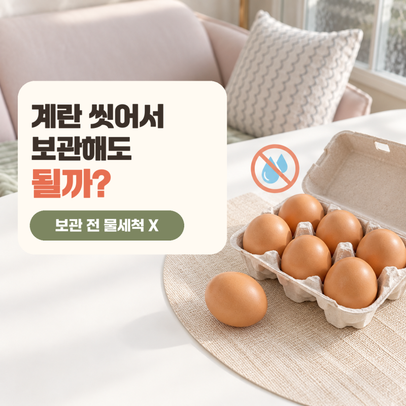 계란은 씻어서 보관해야 된다? 세척보다 냉장·분리·손 씻기가 중요