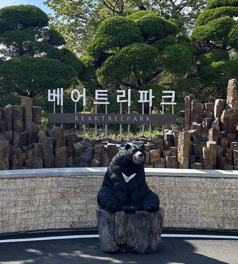 (세종) 9개월 아기랑 베어트리파크❄️ 주차·유모차 대여·수유실·매점·기프트숍 총정리✌....