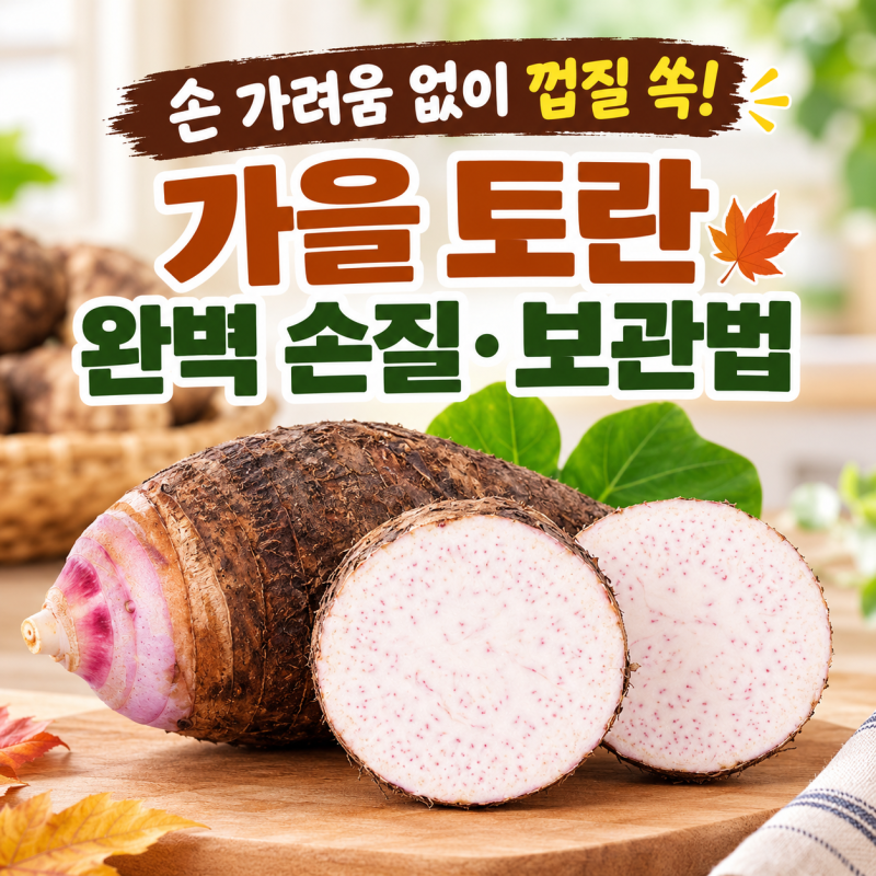 가을 제철 토란 손질법과 보관법! 간지러움 없이 껍질 벗기고 아린 맛 싹 빼는 살림 꿀팁