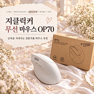 내돈내산 | 지클릭커 무선 버티컬 에로고 마우스 | OP70 | 무선 마우스 | 블루투스 마우스
