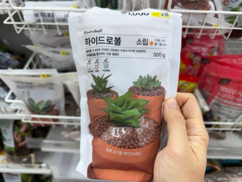 다이소 분갈이 하이드로볼 구입 후기