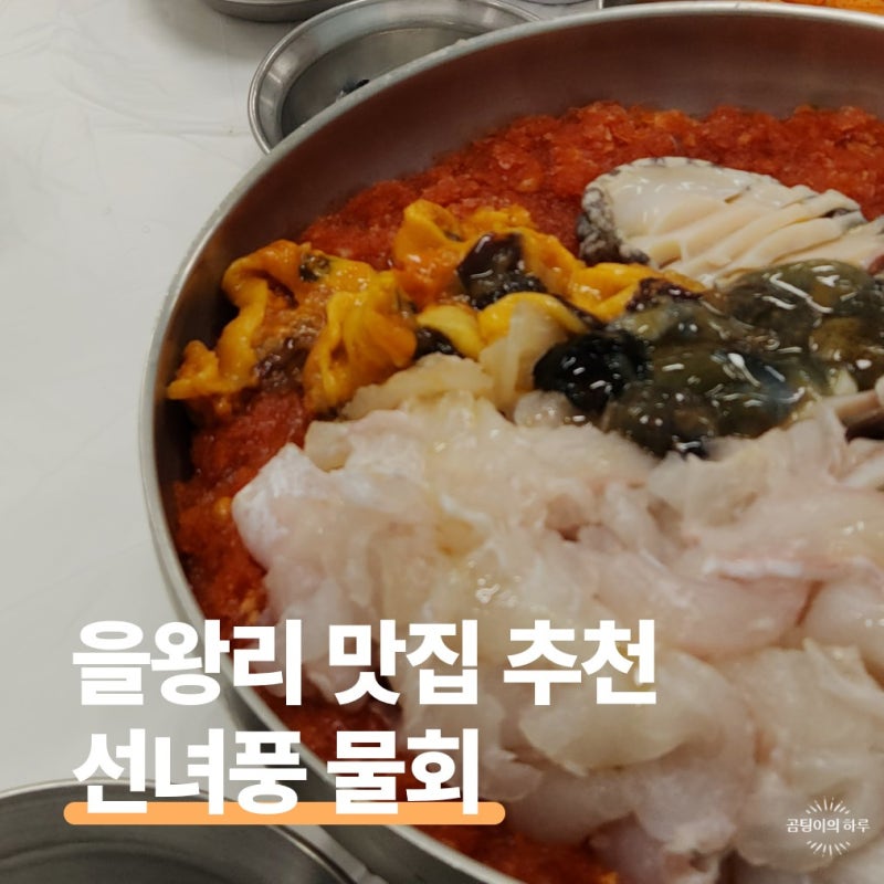 영종도 을왕리 맛집 선녀풍 물회 본점 주말 웨이팅 후기! 해물파전 / 전복죽도 추천해요