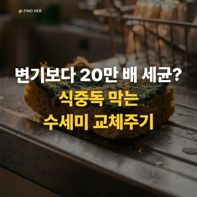 "변기보다 20만 배 세균?" 식중독 막는 수세미 교체주기