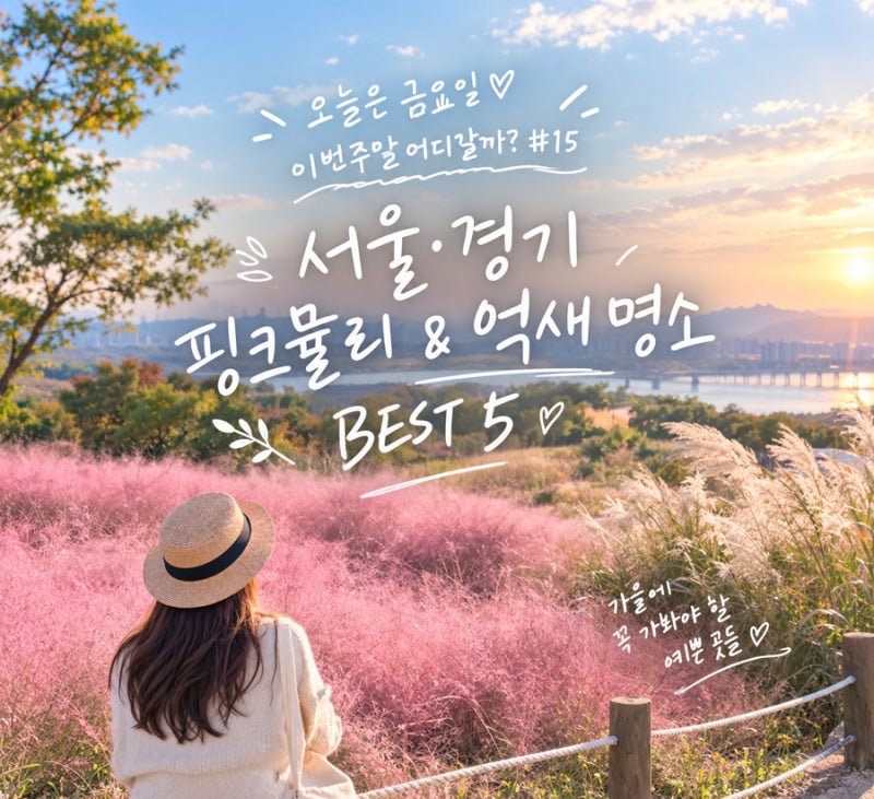 이번주말 어디갈까 #15 | 서울·경기 핑크뮬리 & 억새 명소 BEST5